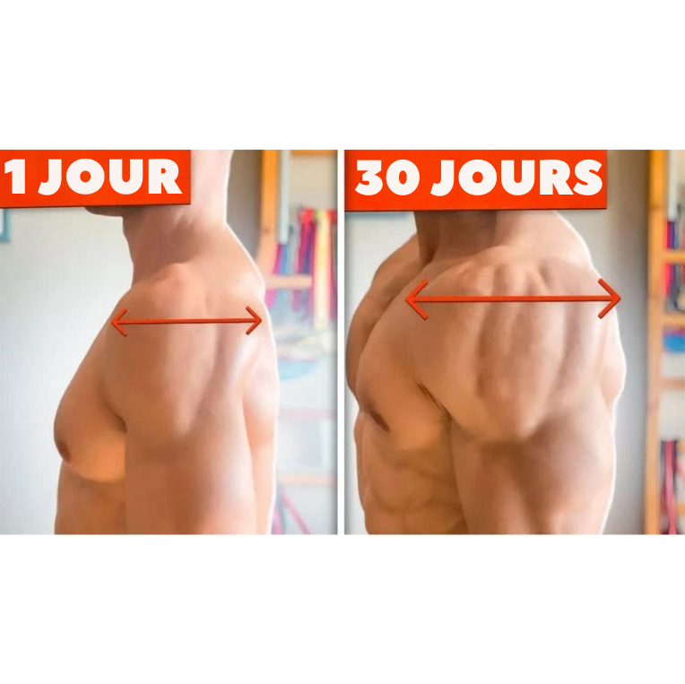 Exerceur Musculaire Bras & Haut du Corps