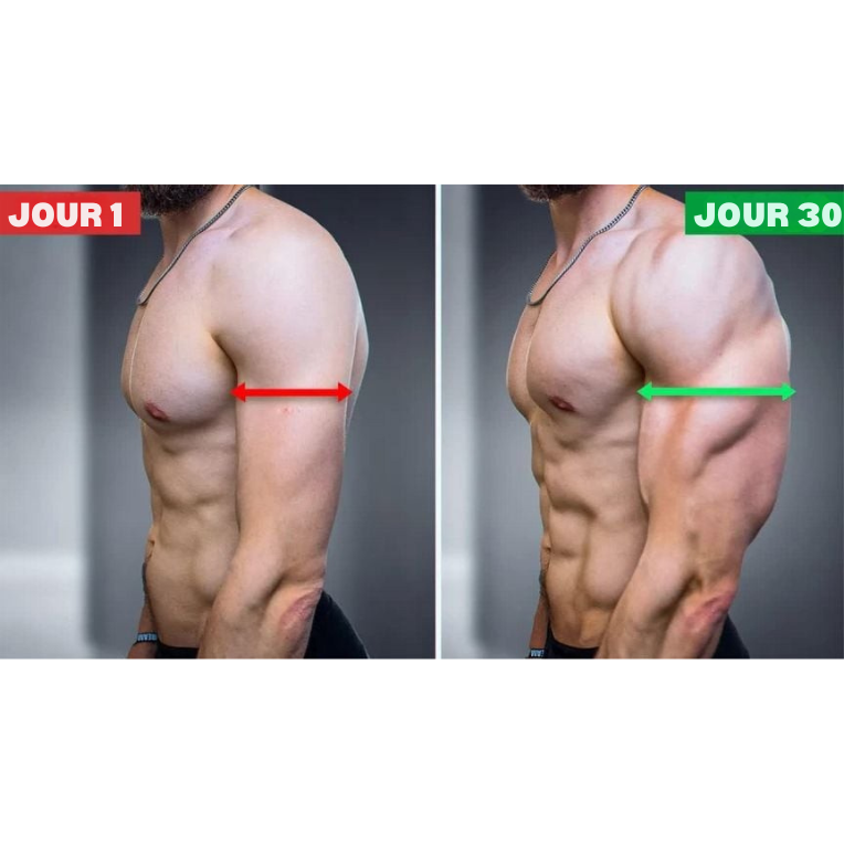 Exerceur Musculaire Bras & Haut du Corps