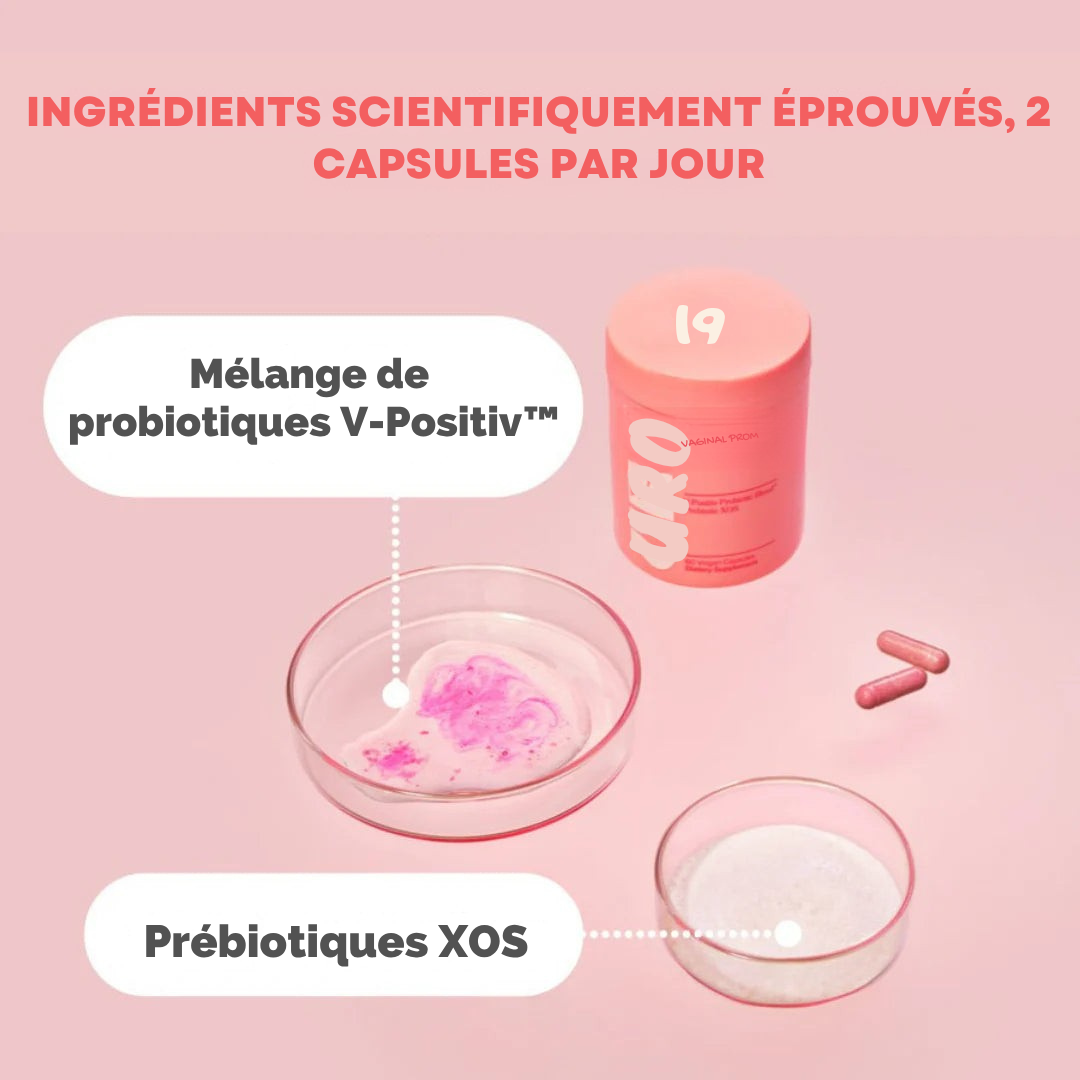 Probiotique Végétalien Santé Vaginale – 60 Gélules