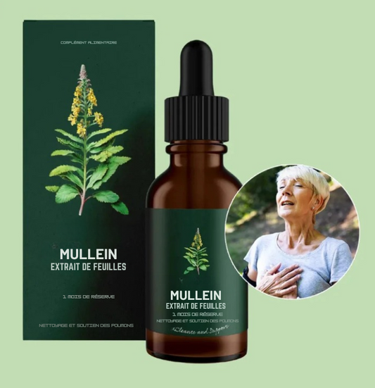 Mullein Chlorophylle Gouttes