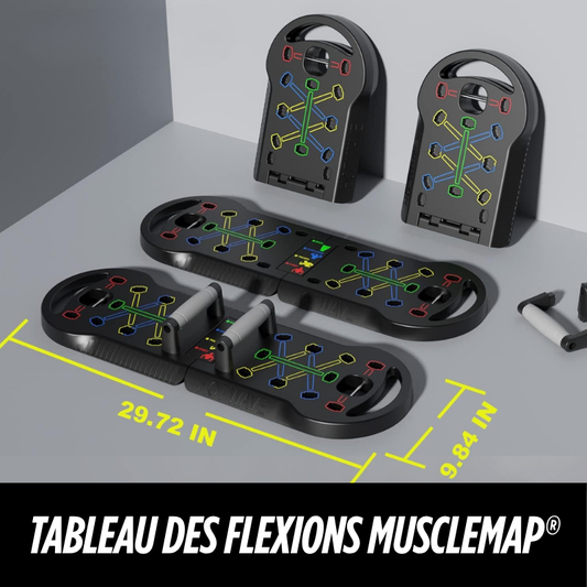 Tableau des flexions MuscleMap®